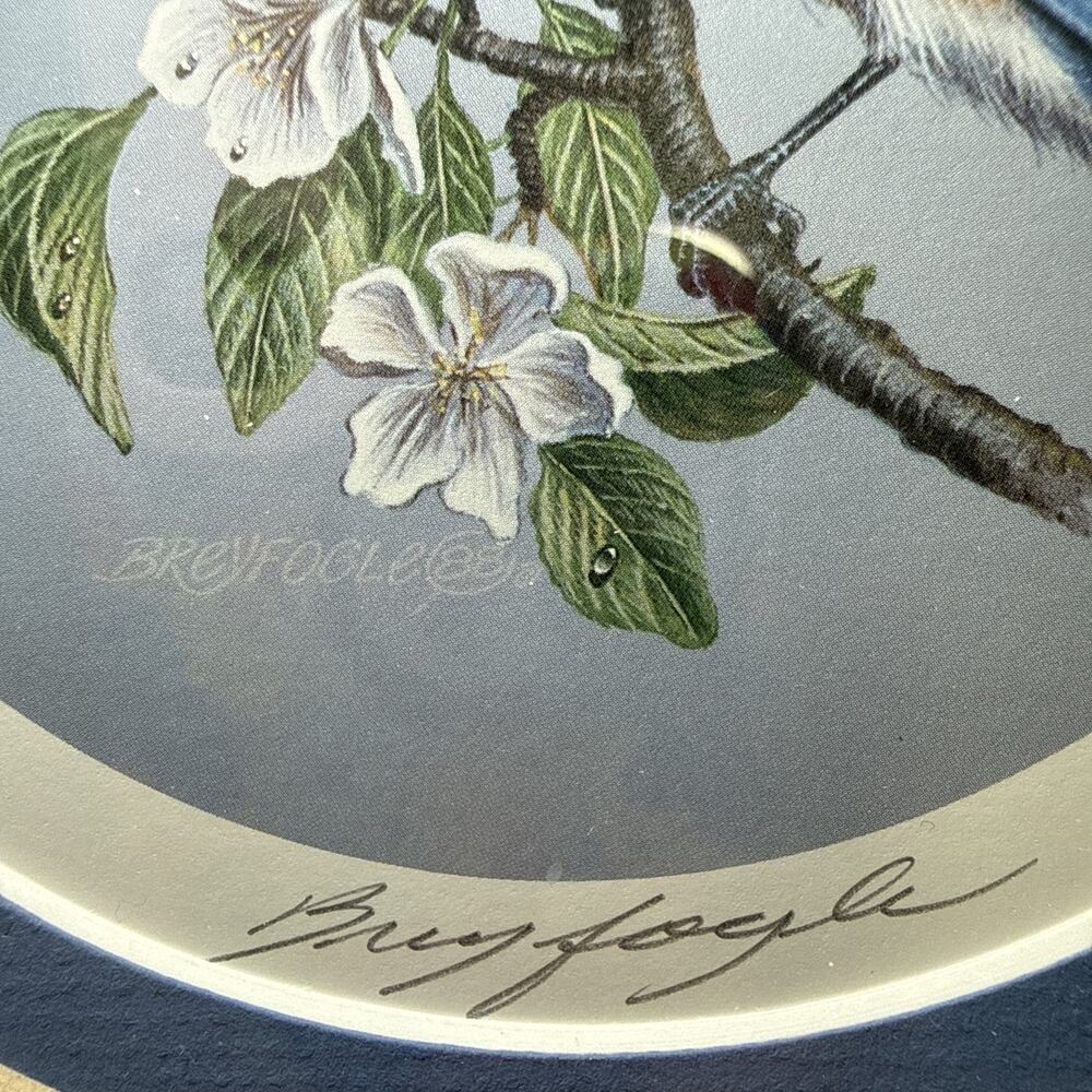 Don Breyfogle Eastern Bluebird Framed Wildlife Print 1988 9.6” x 9.4” Vintage - Picture 2 of 12